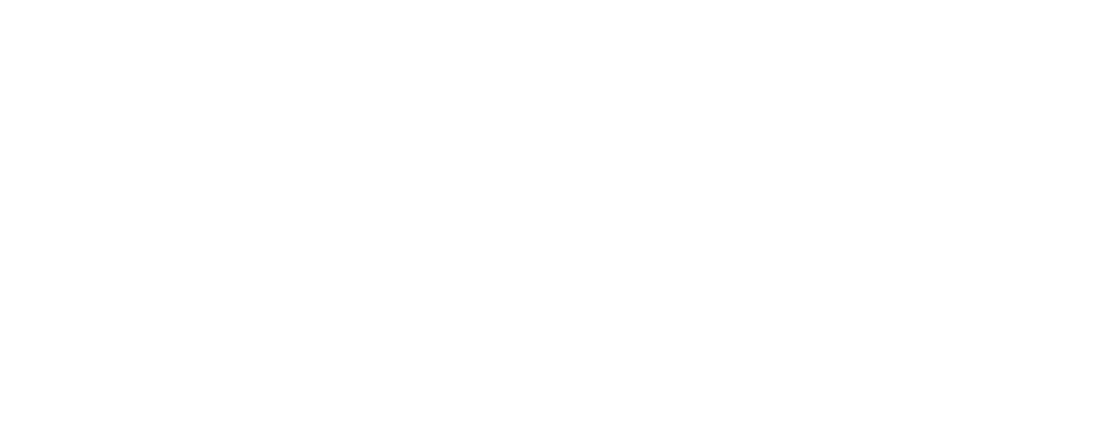 Instituto Governe
